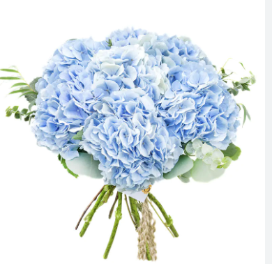 Какие цветы выбрать для мужчин на подарок.