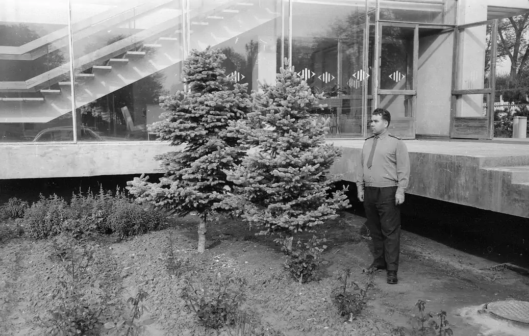 Светлый имидж СССР в 10 неподдельных фотографиях