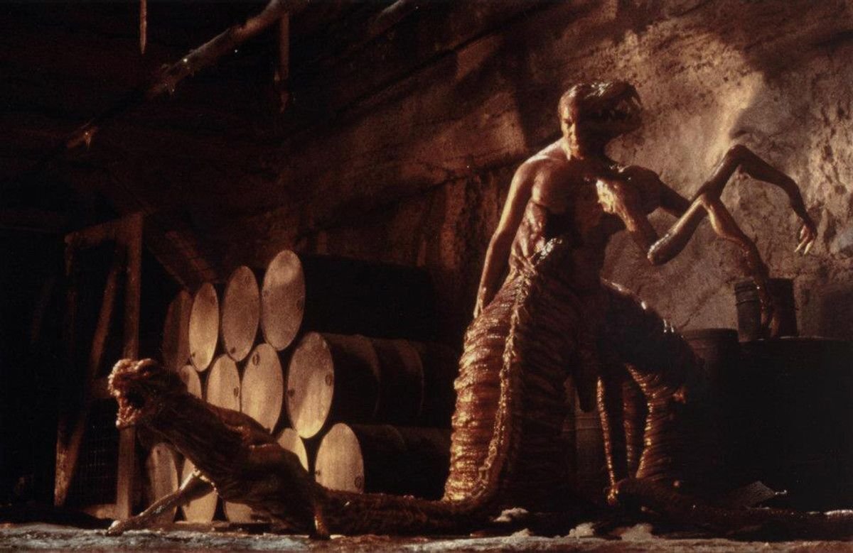 Люди попали в странное место. Где их каждую ночь пытаются убить монстры.