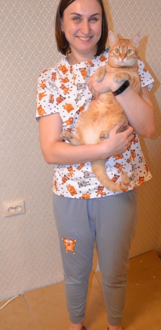 Как я встретила свою рыжую кошку или почему беспородные кошки не хуже