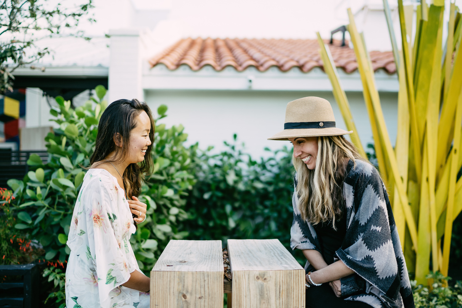 Дружба рождает новый мир.