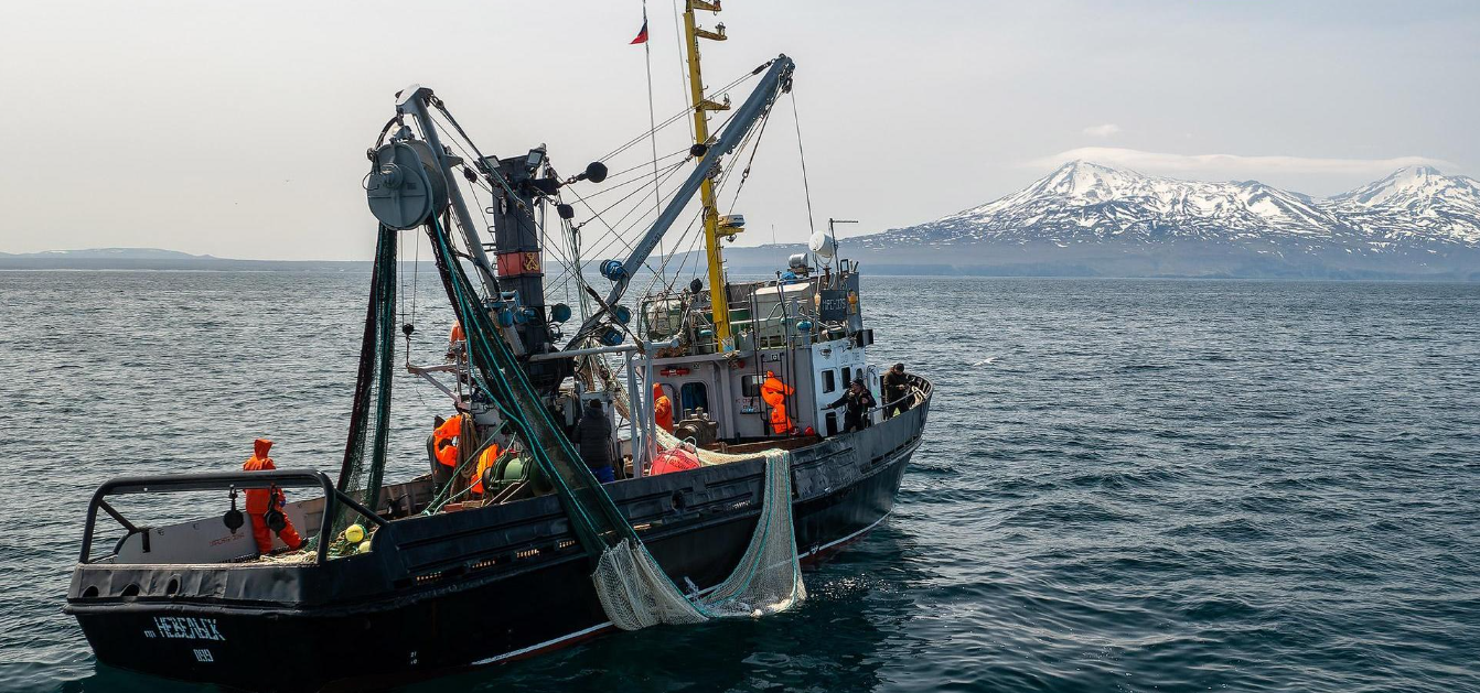 Путин бьет по рекламе: Что нового в законах и политике?