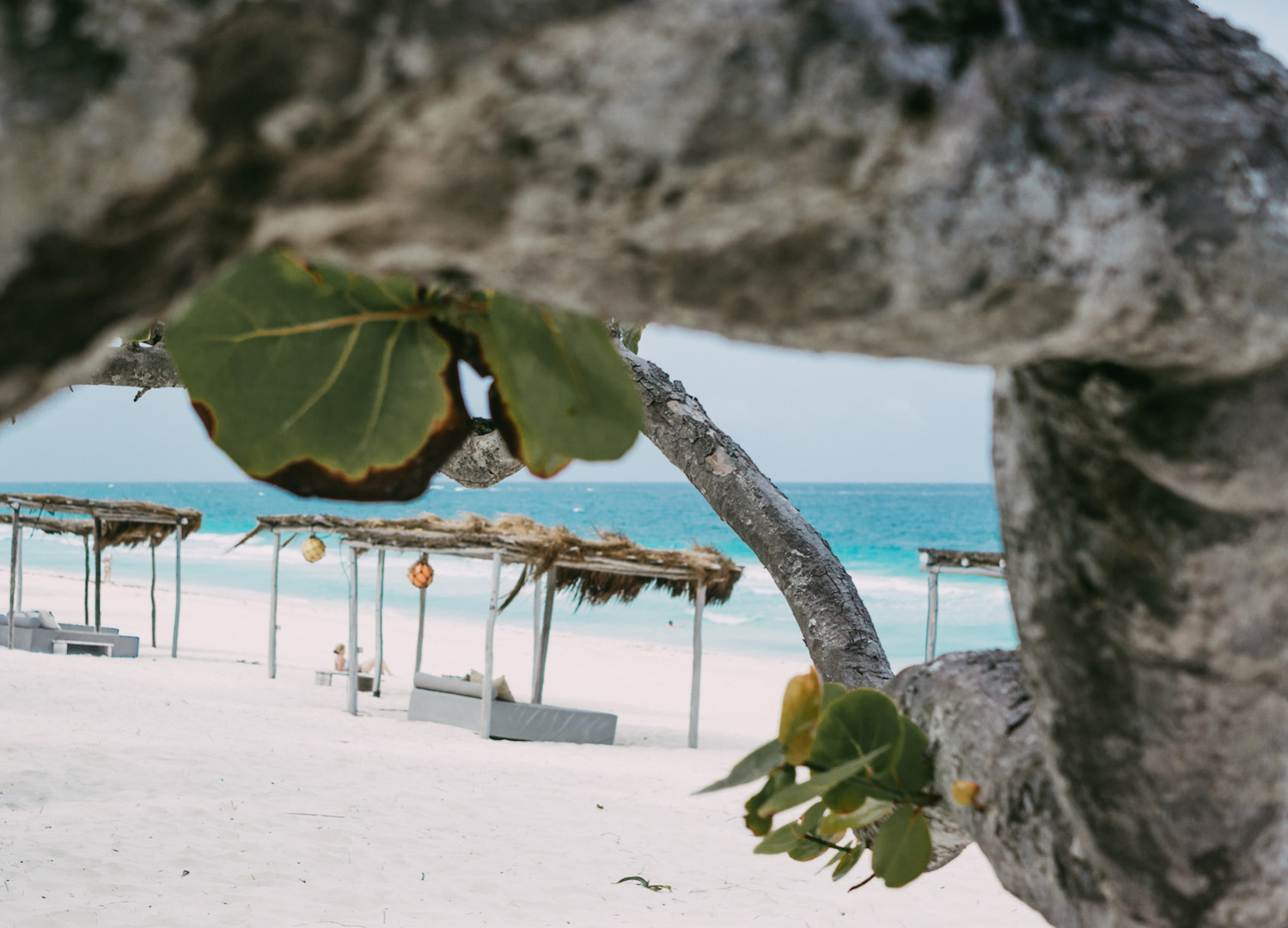 Дружба рождает новый мир.