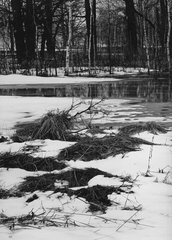Наслаждение природой