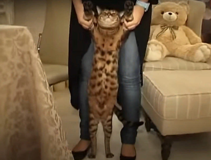 Как я побывала дома у знаменитой певицы Иры Дубцовой🎤