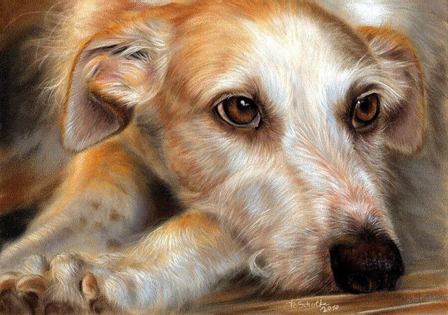 Так часто одинокие люди становятся легкой добычей для мошенников