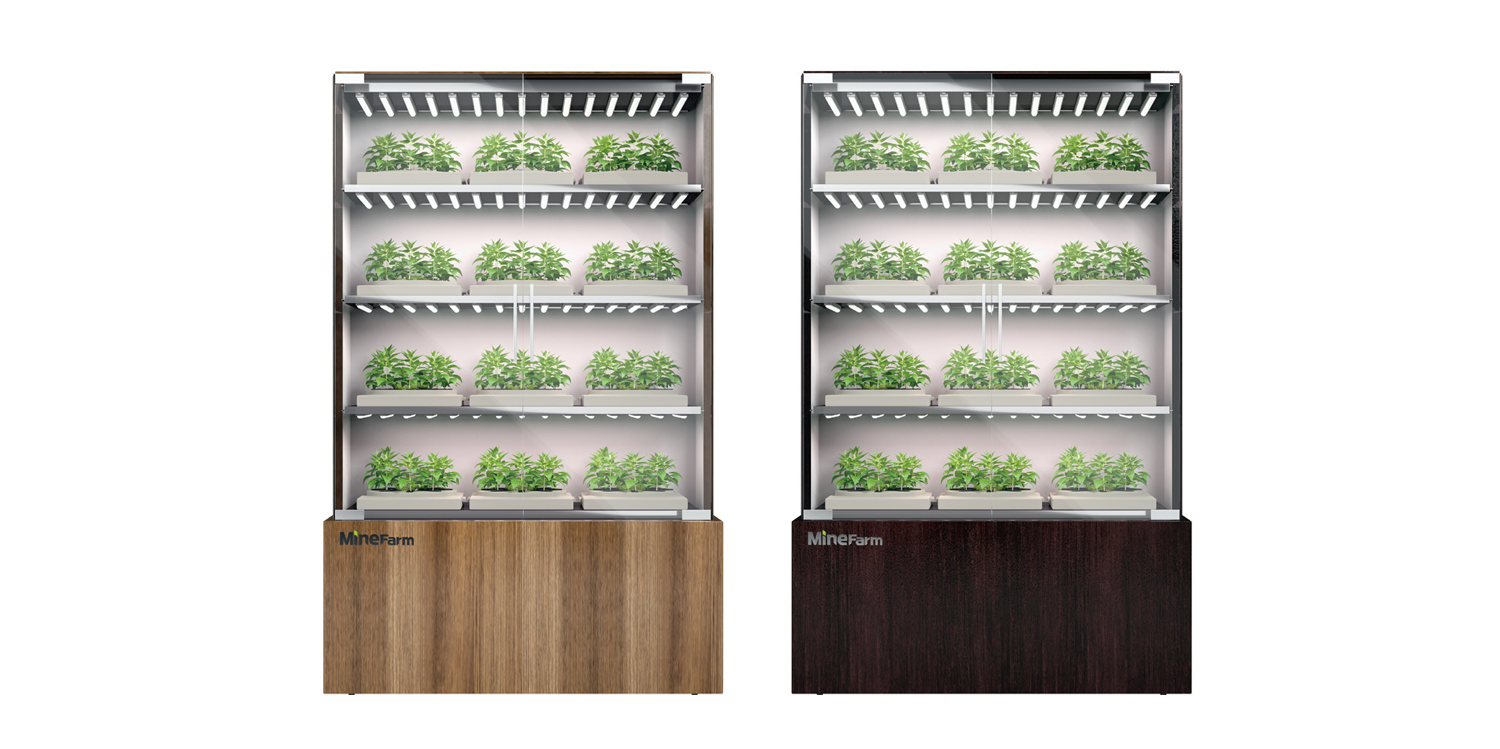 Умные гаджеты для дома, которые повысят ваш комфорт