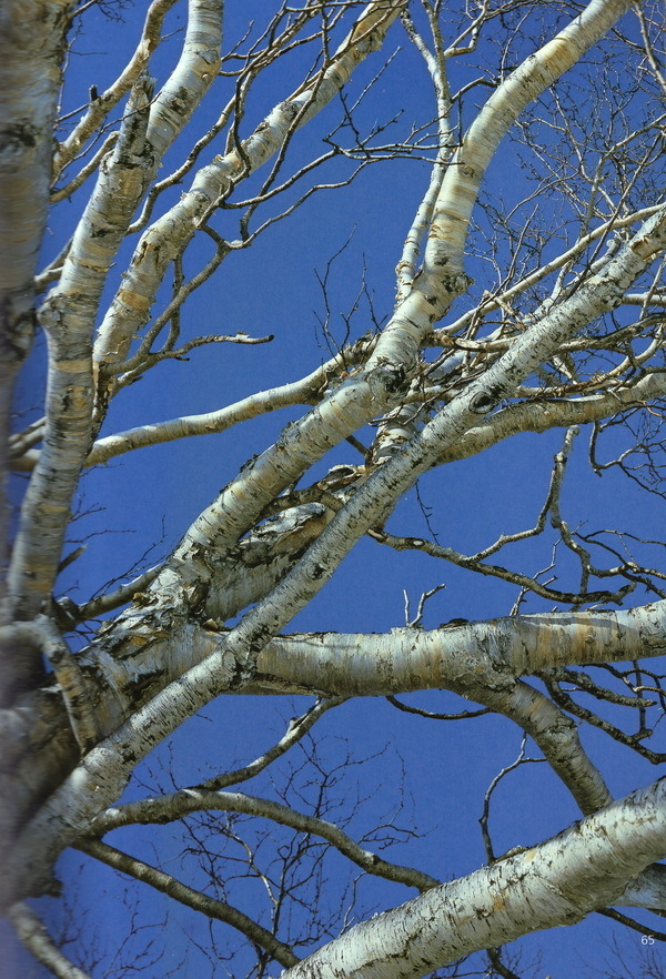 Наслаждение природой