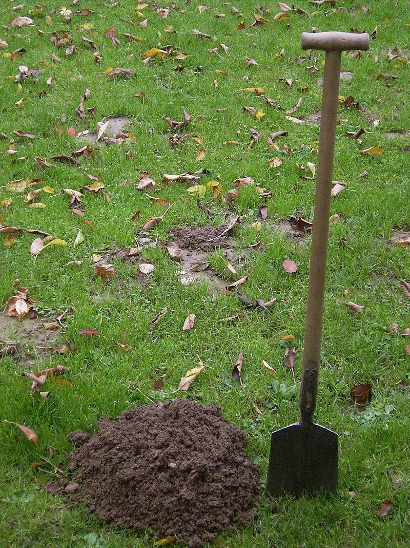 О какой немецкой лопате могла идти речь? Лопата времен ВОВ. Клеймо. Крупповская сталь. Очень удобная, копали и не уставали.