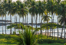 Мир и пляжная жизнь.