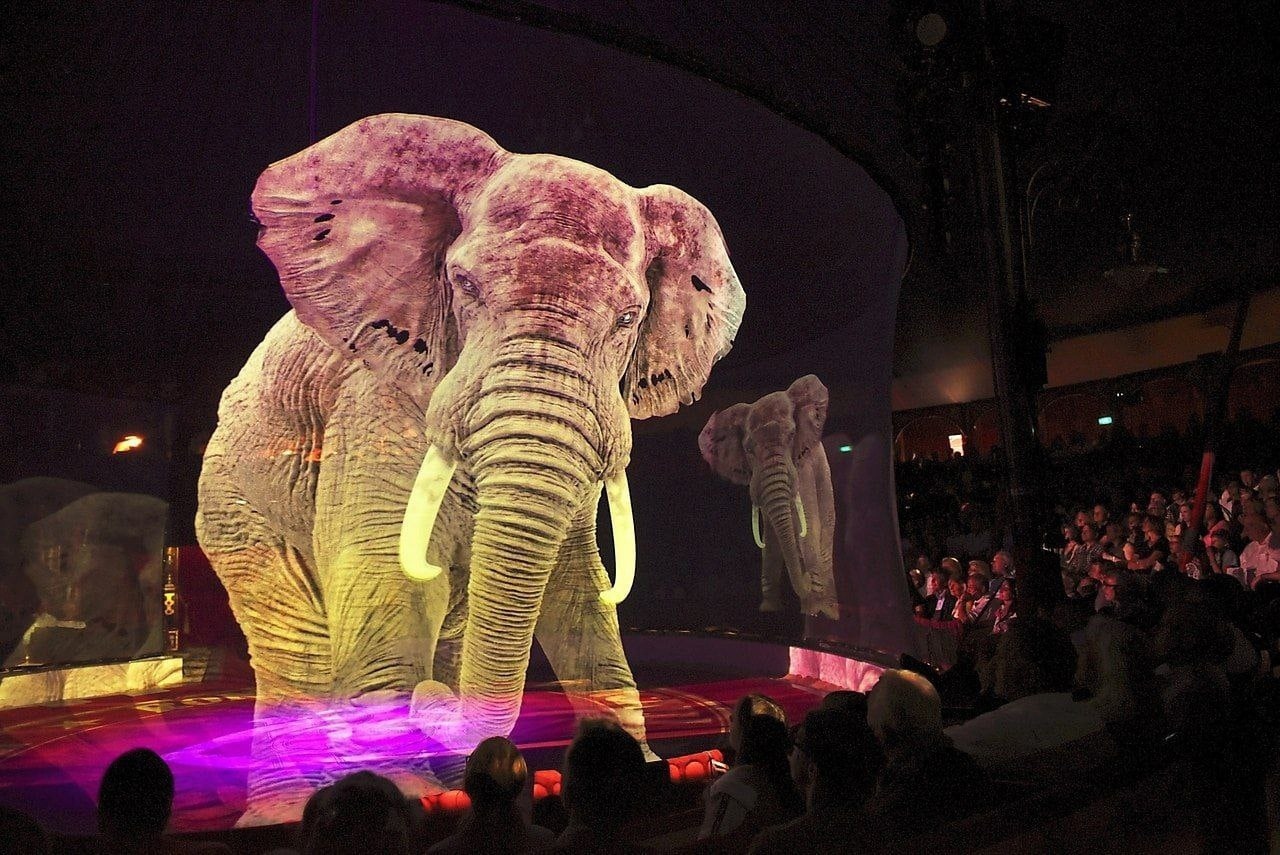 Когда в российских цирках начнут использовать голограммы вместо живых животных?