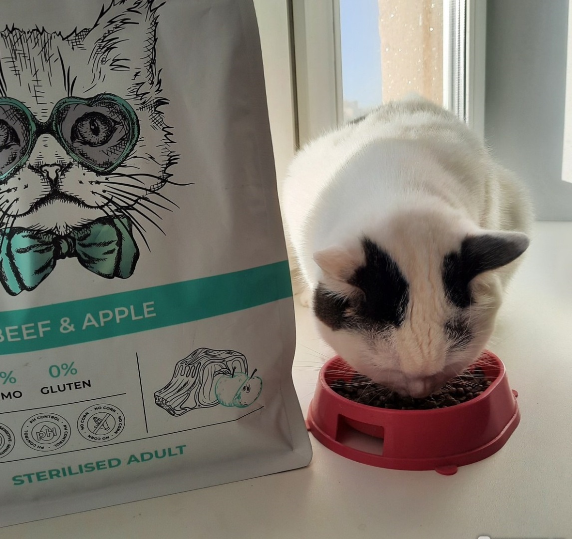 5 отечественных кормов, которые полюбились моей кошке.