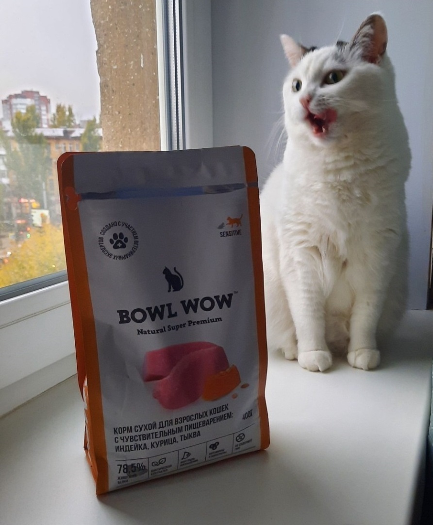 5 отечественных кормов, которые полюбились моей кошке.