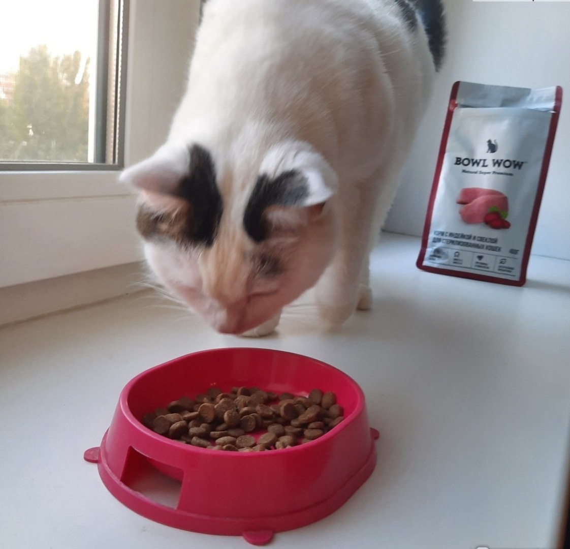 5 отечественных кормов, которые полюбились моей кошке.