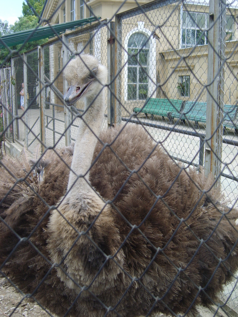 Сочи. Наша поездка в «Дендрарий». Масса впечатлений от удивительных растений!