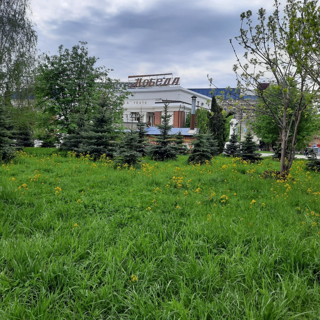 Признание в любви моему родному городу. Люблю Саратов, несмотря на все его недостатки.