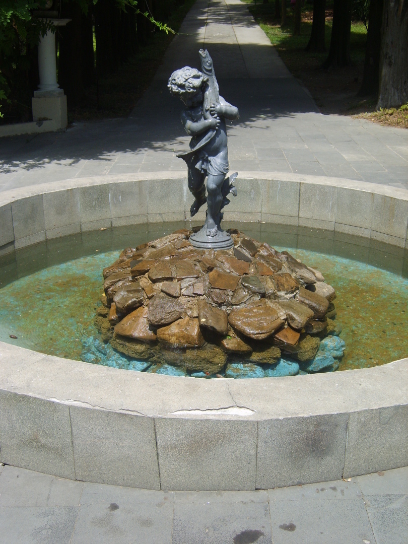 Сочи. Наша поездка в «Дендрарий». Масса впечатлений от удивительных растений!