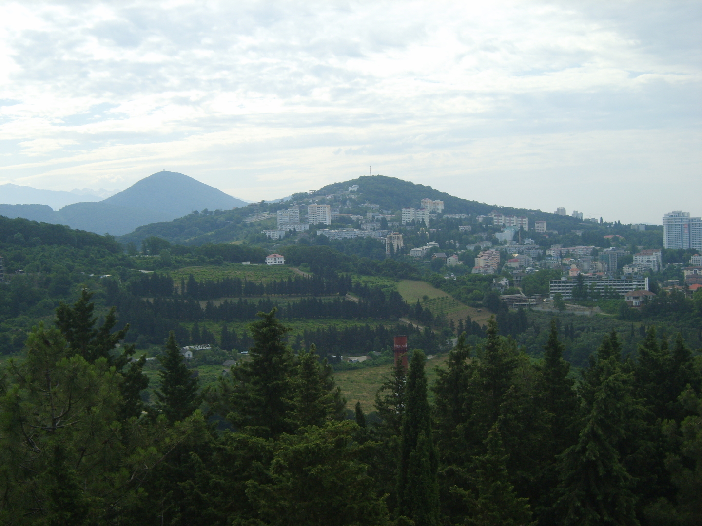 Сочи. Наша поездка в «Дендрарий». Масса впечатлений от удивительных растений!