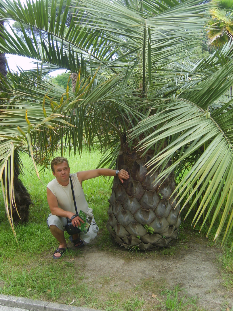 Сочи. Наша поездка в «Дендрарий». Масса впечатлений от удивительных растений!