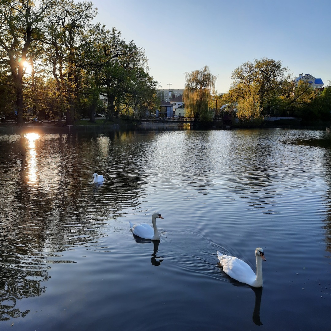 Признание в любви моему родному городу. Люблю Саратов, несмотря на все его недостатки.