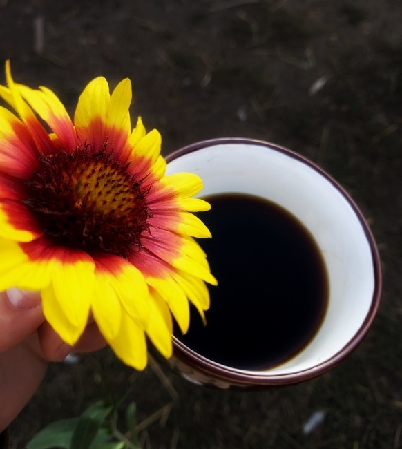 Почему люди часто злятся и раздражаются?