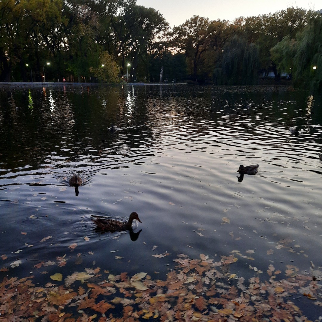 Признание в любви моему родному городу. Люблю Саратов, несмотря на все его недостатки.