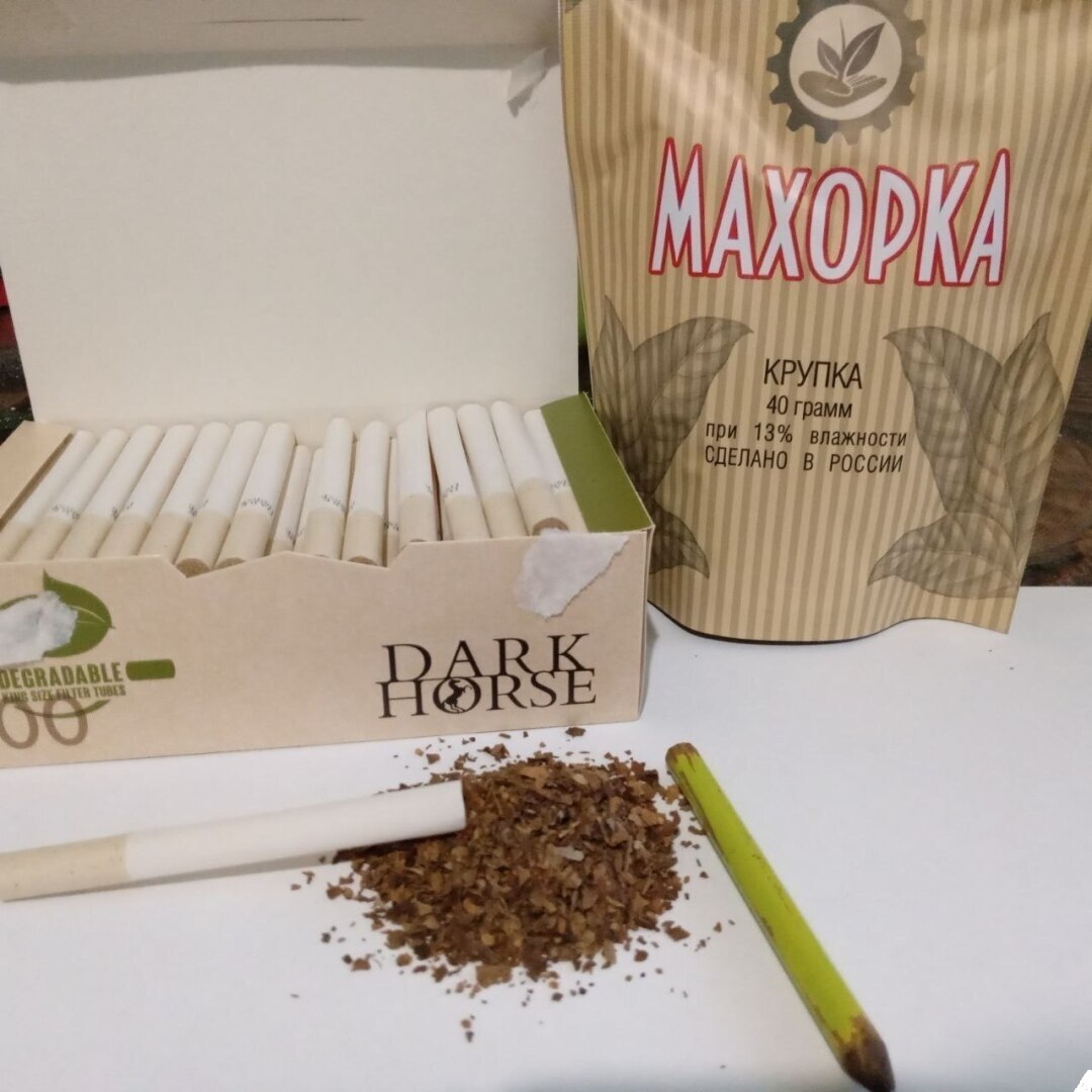 Ну наконец то выходной или чем заняться хвостатому в воскресенье.