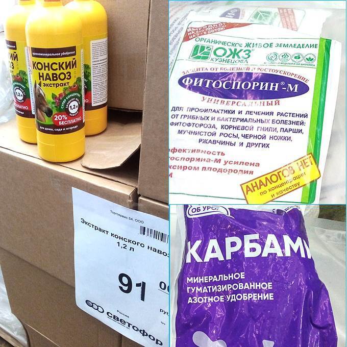 Ого! Бегите пока не раскупили: в «Светофоре» топовые продукты по ценам ниже плинтуса. Всё показываю и рассказываю