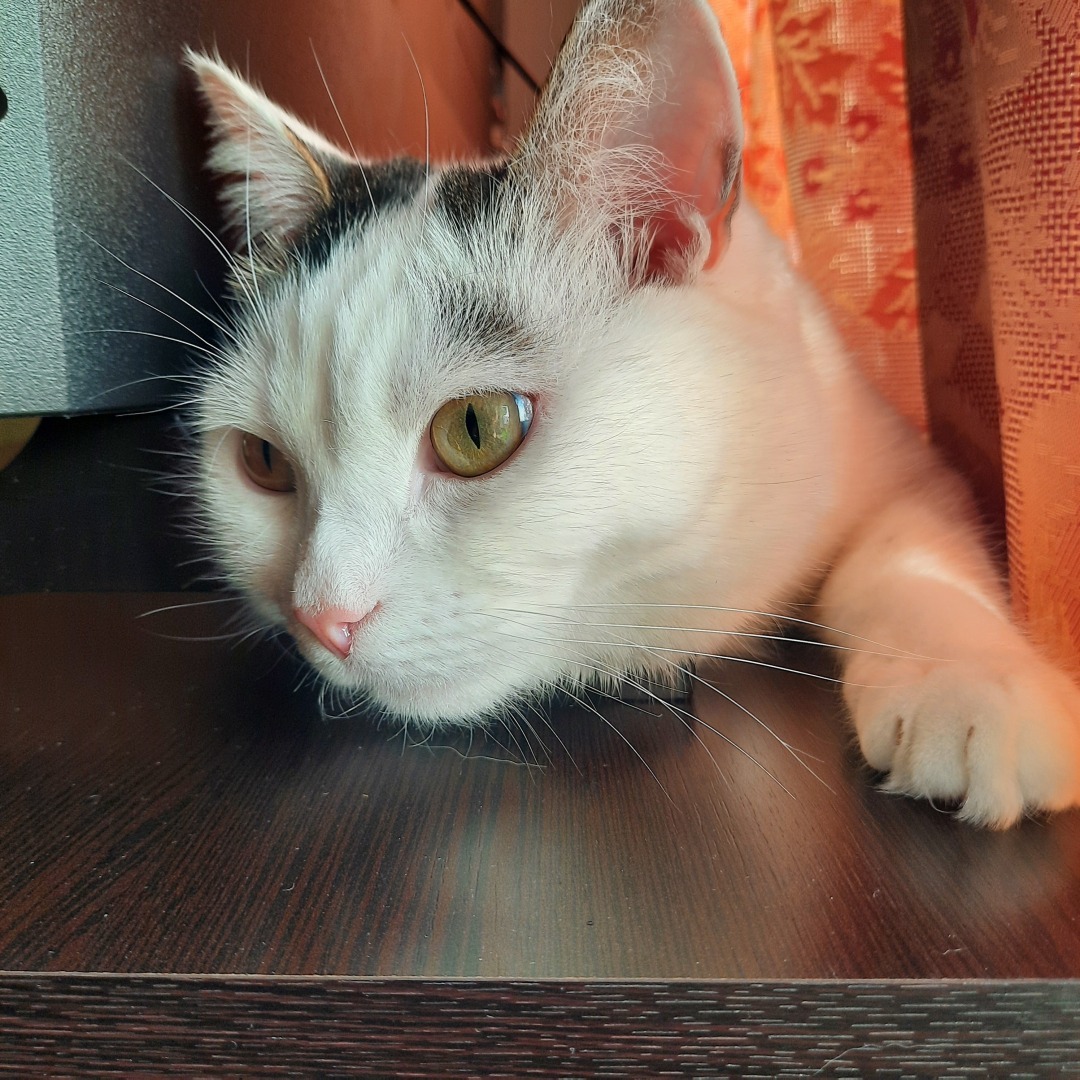 Активный март: мои рабочие будни и выходные.