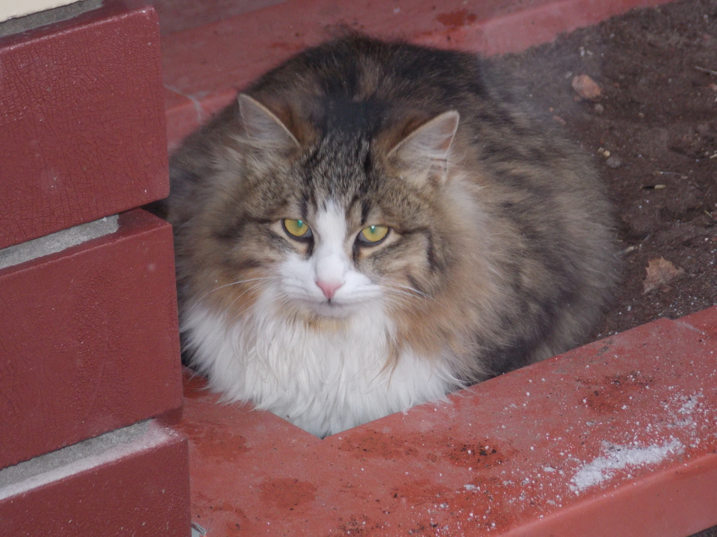 Наша поездка в Николо-Малицкий мужской монастырь. Необычная обитель в Тверской области!