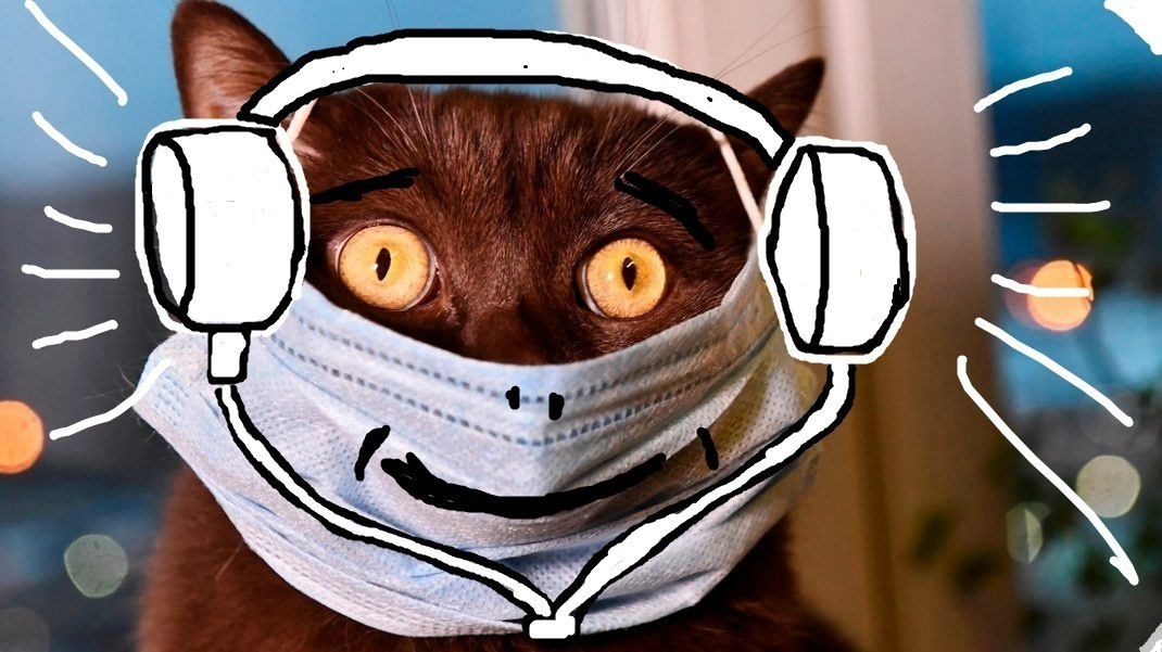 Музыкальная пауза от хвостатого или еще одна песня.