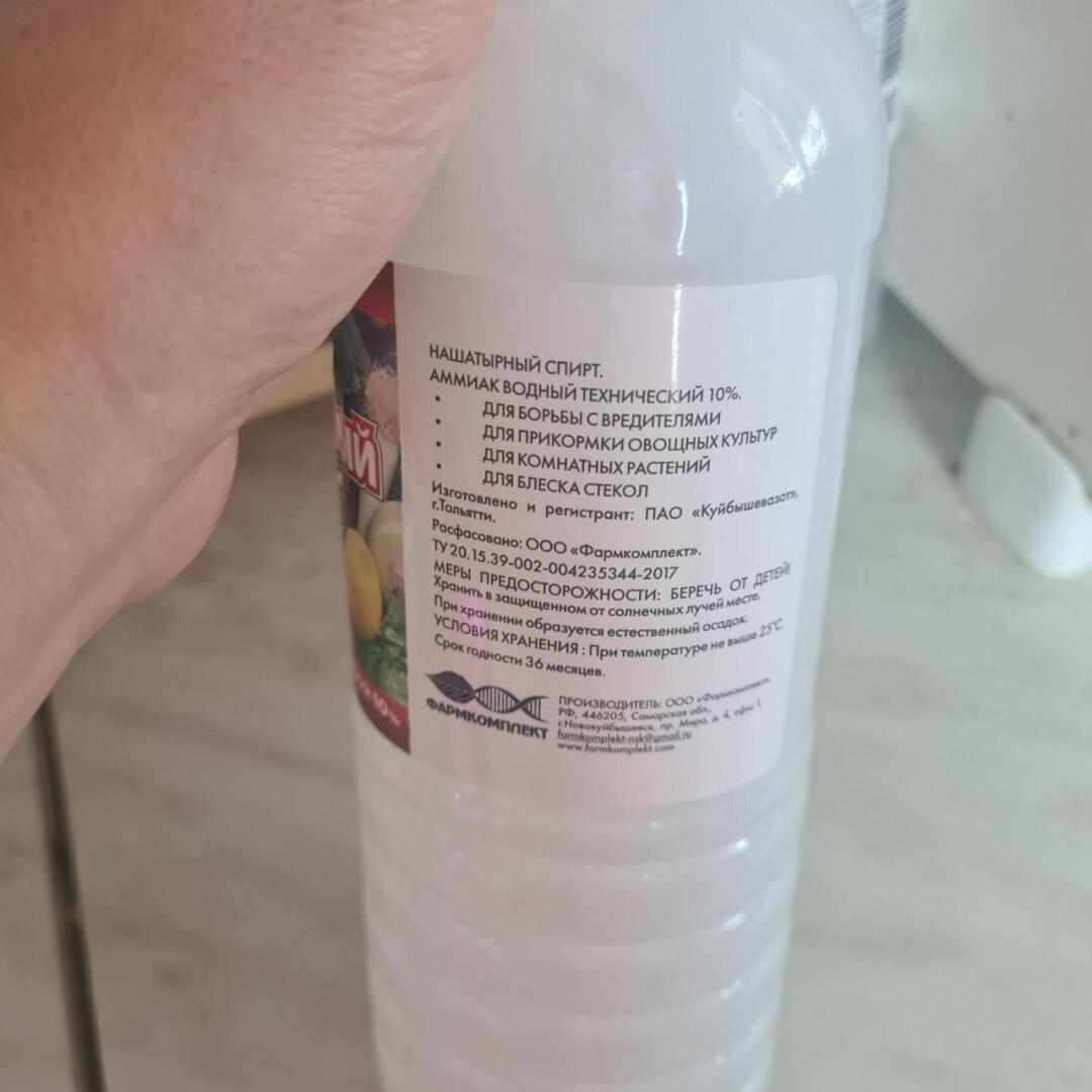 Как борюсь с земляной мошкой в рассаде?