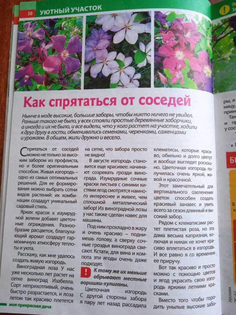 С одной статьей в двух журналах: мой опыт публикации в двух печатных изданиях: «Моя прекрасная дача» и «Люблю цветы»