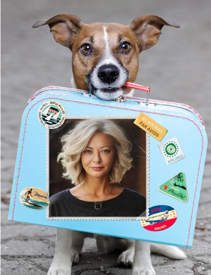 Инструкция: как получить квалифицированную медицинскую помощь бесплатно