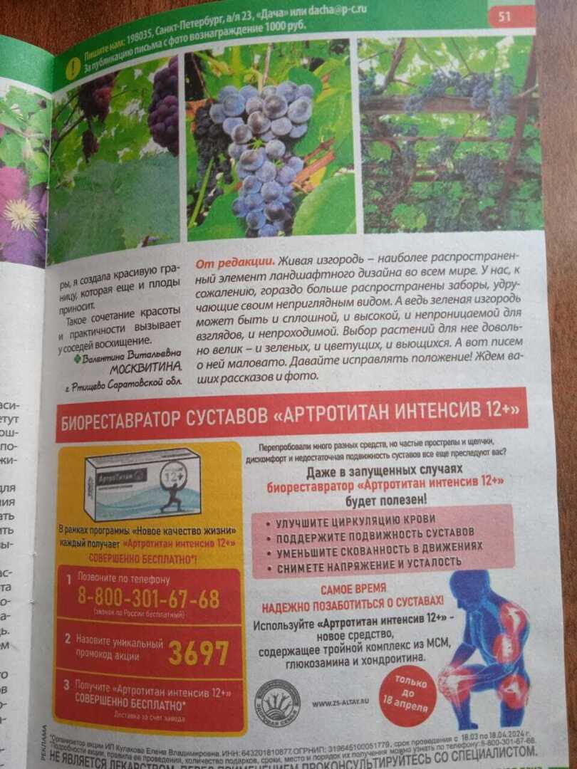 «Как спрятаться от соседей»: мой красивый и оригинальный способ ландшафтного дизайна и моя новая публикация на страницах дачного журнала