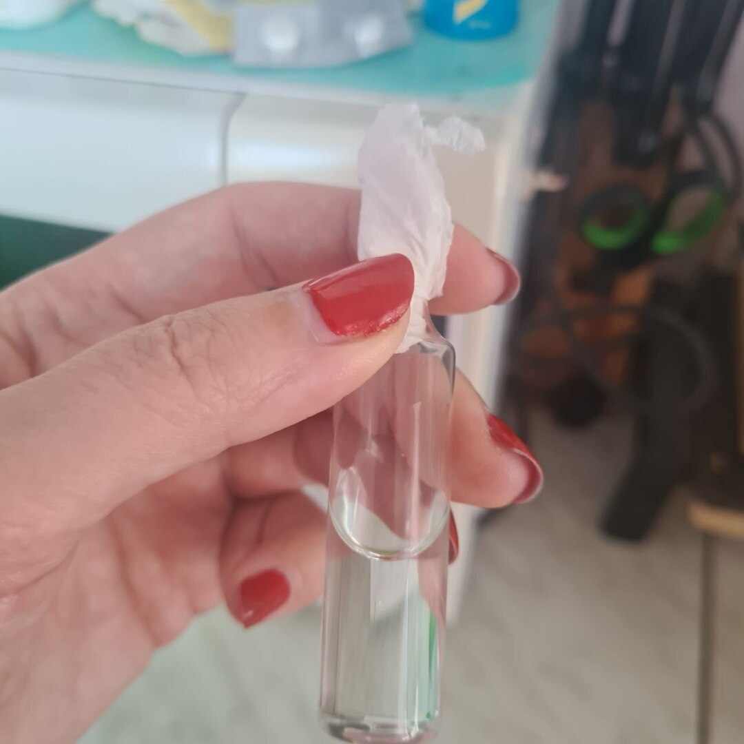 Как борюсь с земляной мошкой в рассаде?