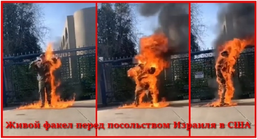 ХАМАС заявил, что Бушнелл "останется бессмертным"