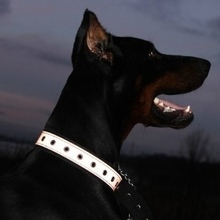 Сергей Асматьев Потапович, г. Тольятти