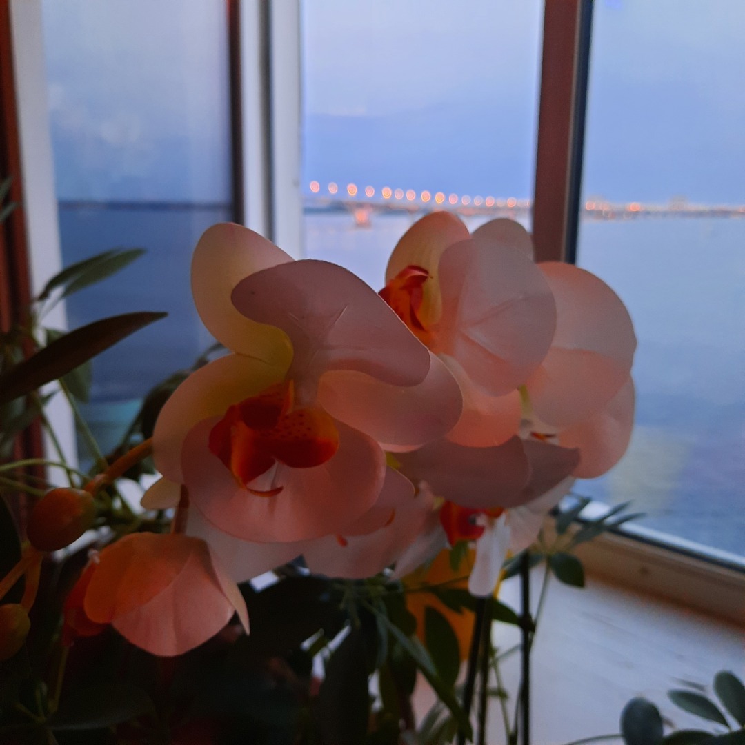 О современных рыцарях: обычных мальчиках, парнях и мужчинах.