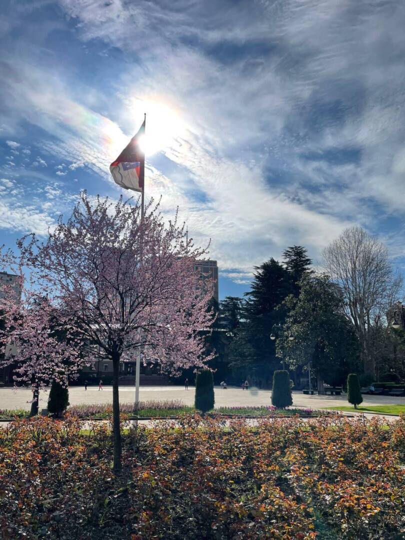 Полгода в Сочи: личный опыт. Впечатления, фото.