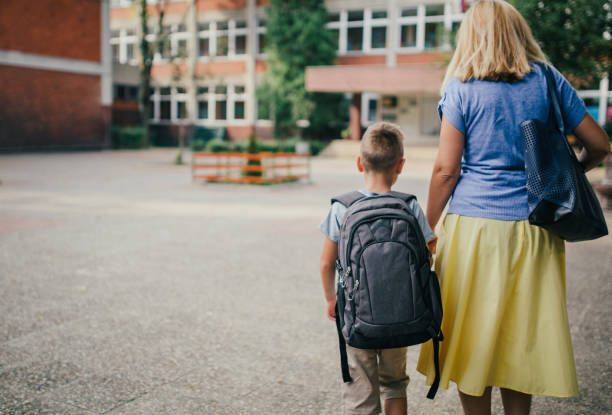 В школах опять реформируют? Планируется сократить обществознание из-за перераспределения предметов