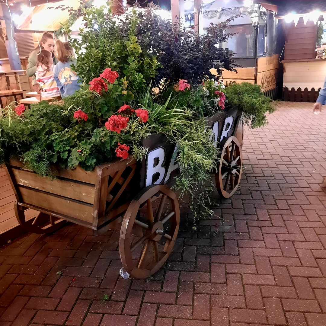 О современных рыцарях: обычных мальчиках, парнях и мужчинах.