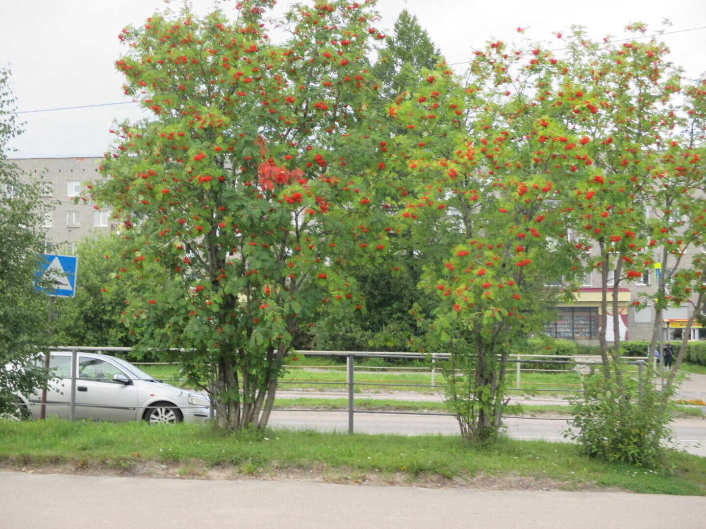 Продолжение моей автобиографической повести - 2