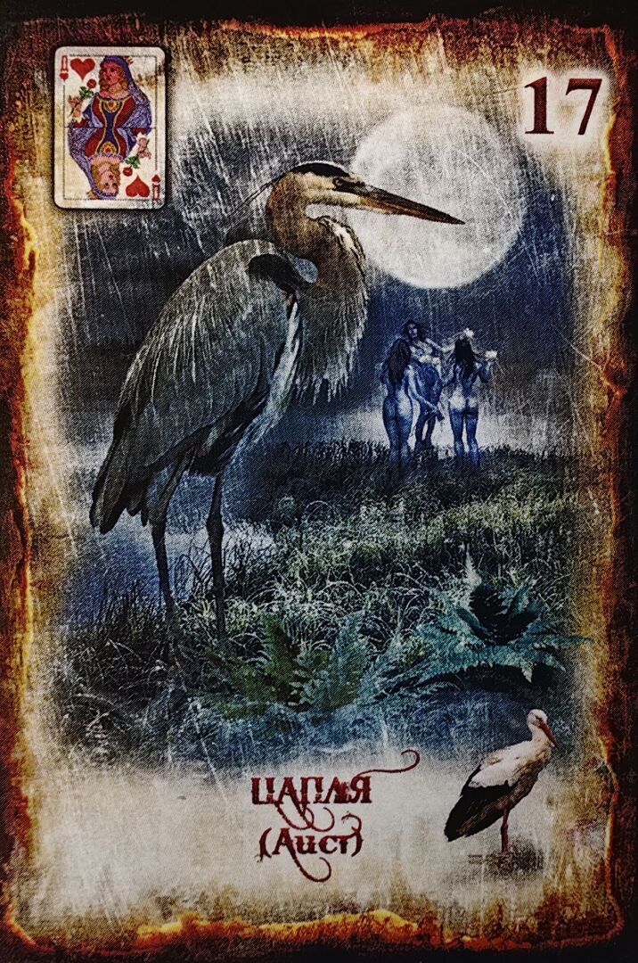 Карта дня на сегодня - Всадник. Активность и быстрые действия - девиз сегодняшнего дня.