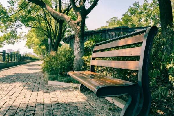 Московская погода в марте готовится установить рекорд столетия