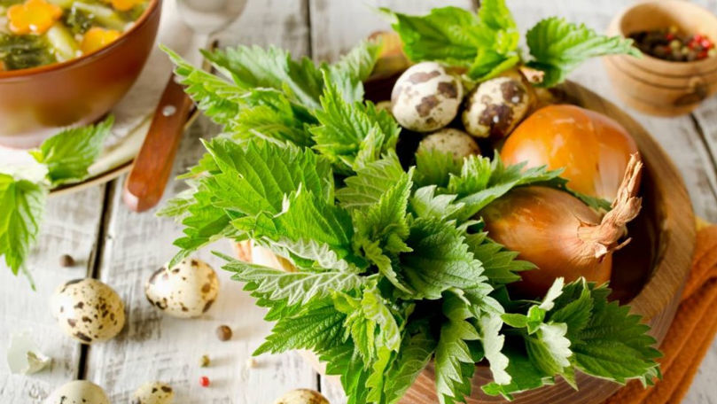 Удивительная польза крапивы !