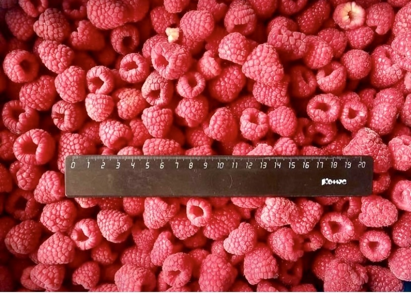 Уход за малиной. Статья