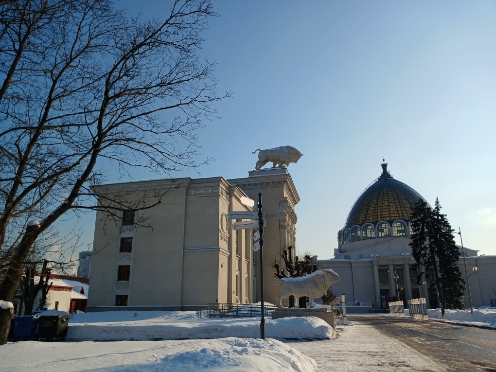 Дегустация продуктов на ВДНХ. Мясо