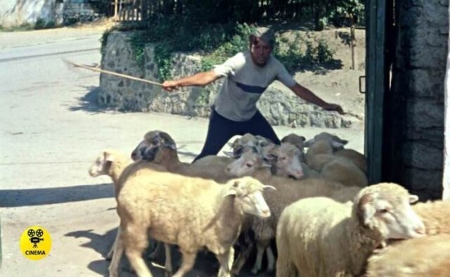 Неизвестные актеры и факты о "Кавказской пленнице"