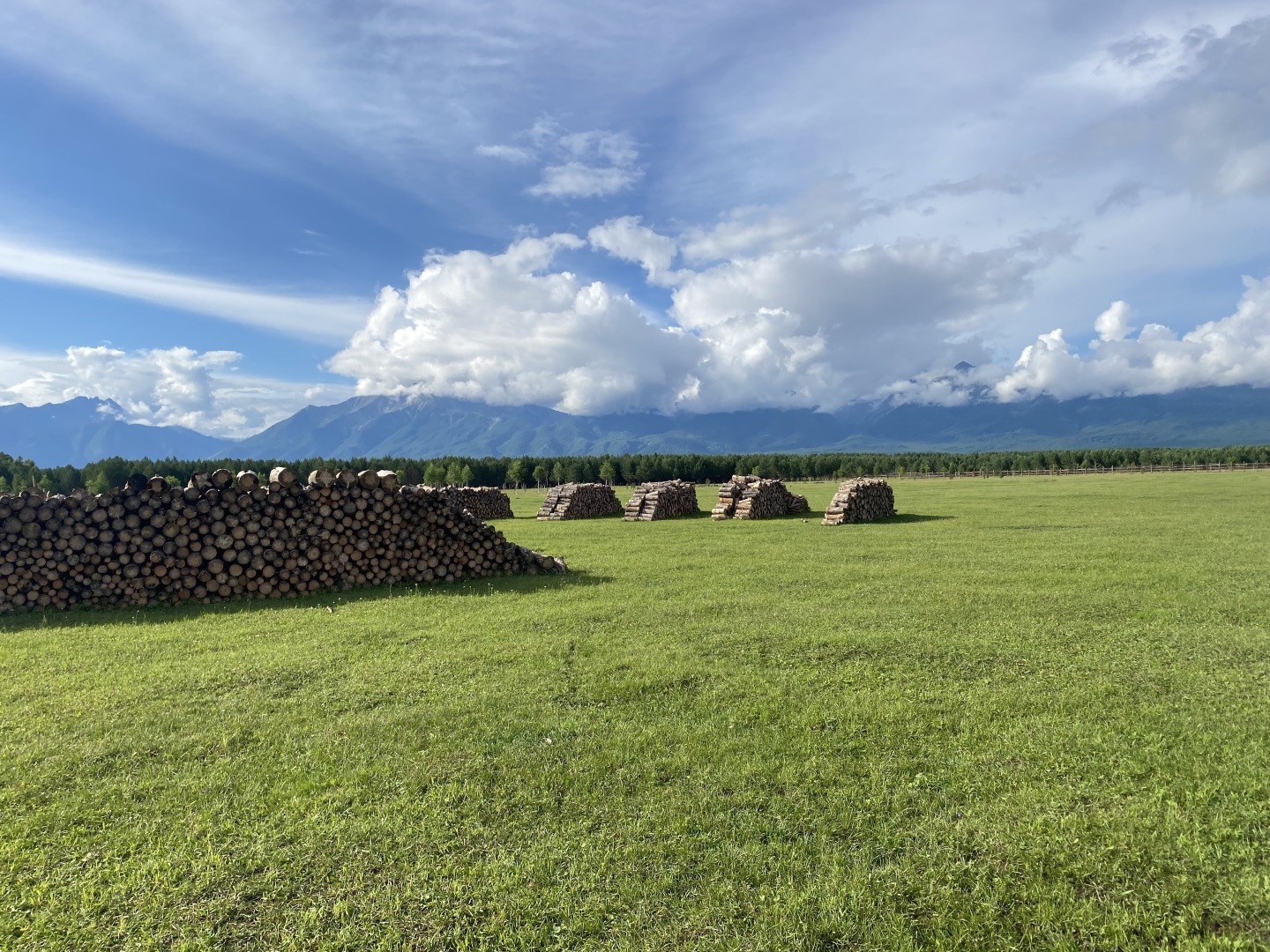 Подготовка к посеву газона